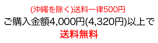 送料無料